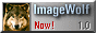iwolfnow.gif (2889 bytes)